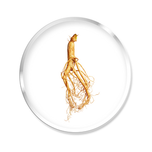EXTRAIT SEC DE Ginseng Rouge