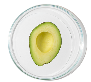Vitamine B5