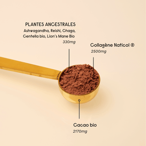 Le Collagène Cacao