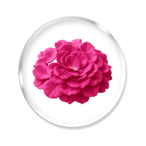 Rose de Damas