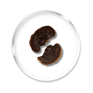 Reishi