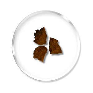 Chaga