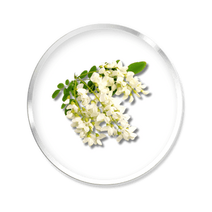 Fibre d'acacia
