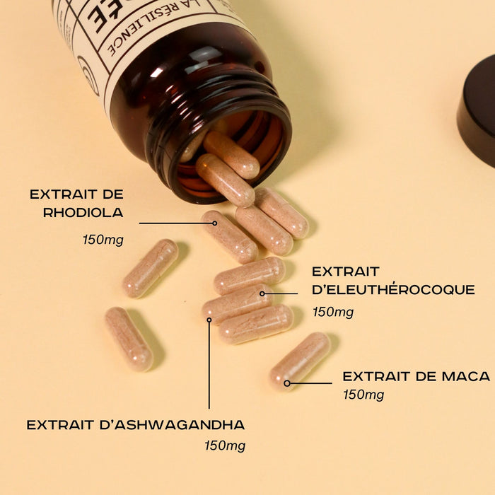 La Résilience